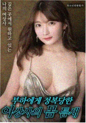 红烧五花肉成品